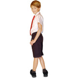 Boys Classic Fit Pure Cotton School Shorts
